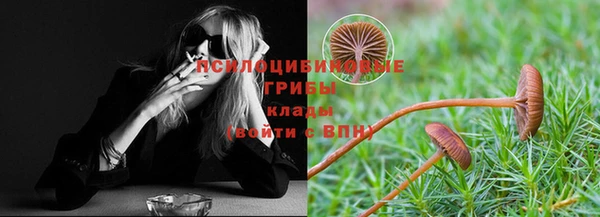 метадон Нея