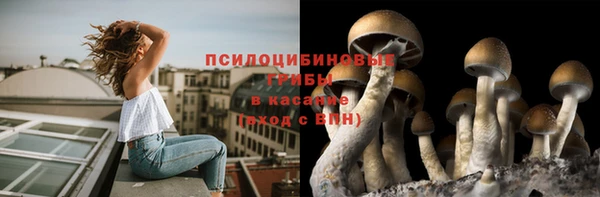 jwh Нефтегорск