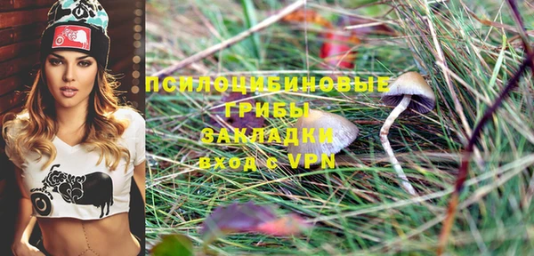 метадон Нея
