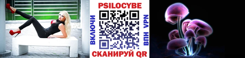 наркошоп  Новая Усмань  ссылка на мегу зеркало  Псилоцибиновые грибы Cubensis 