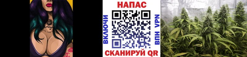 где купить   Новая Усмань  Канабис Ganja 